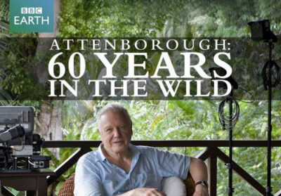 60 Năm Trong Hoang Dã - Attenborough: 60 Years In The Wild