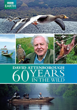 60 Năm Trong Hoang Dã - Attenborough: 60 Years In The Wild (2012)