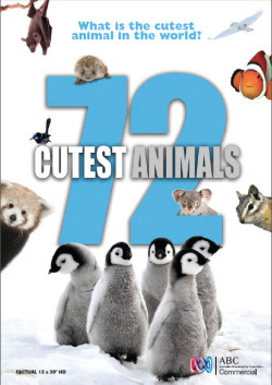 72 loài động vật dễ thương nhất - 72 Cutest Animals