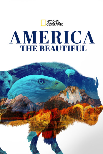 America the Beautiful - America the Beautiful (2022)
