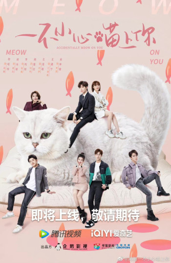 Bất Cẩn Meow Phải Anh - Accidentally Meow On You (2022)