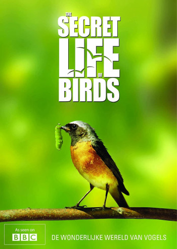 Bí ẩn cuộc sống loài chim - The Secret Life of Birds  (2012)