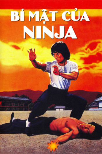 Bí Mật Của Ninja - Ninja Knight 2: Roaring Tiger
