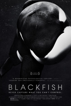 Cá đen - Blackfish