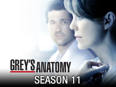 Ca Phẫu Thuật Của Grey (Phần 11) - Grey's Anatomy (Season 11)