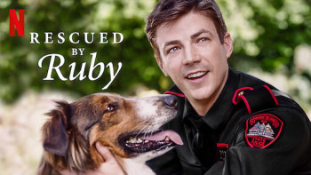 Chó cứu hộ Ruby - Rescued by Ruby