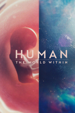 Con người: Thế giới bên trong cơ thể - Human: The World Within (2021)