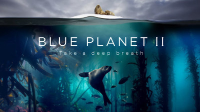 Đại Dương Sâu Thẳm 2 - The Blue Planet 2