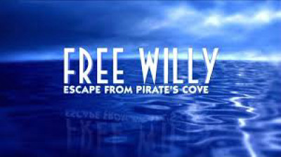 Giải Cứu Willy: Thoát Khỏi Vịnh Hải Tặc - Free Willy: Escape from Pirate's Cove