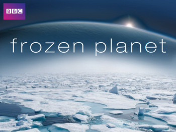 Hành Tinh Băng Giá - Frozen Planet