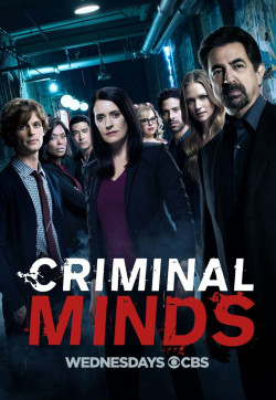 Hành Vi Phạm Tội (Phần 13) - Criminal Minds (Season 13) (2017)