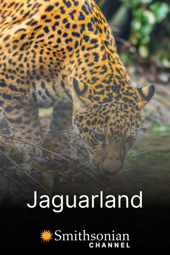 Jaguarland - Jaguarland (2020)