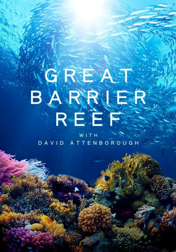 Khám Phá Rạn San Hô Great Barrier cùng David Attenborough - Great Barrier Reef with David Attenborough