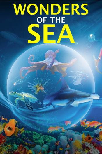 Kỳ Quan Của Đại Dương - Wonders of the Sea 3D (2017)