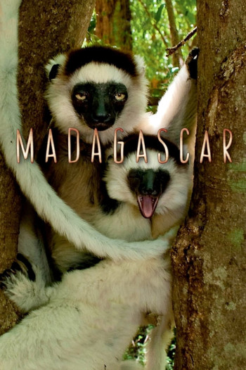 Madagascar 2011 - Madagascar (2011)