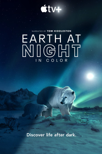 Màn đêm trên Trái Đất: Thước phim trong bóng tối - Night on Earth: Shot in the Dark (2020)
