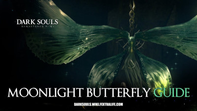 Moonlight Butterfly - Moonlight Butterfly