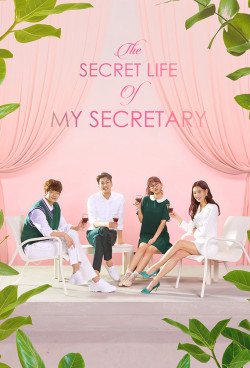 Nàng Thư Ký Của Tôi - The Secret Life of My Secretary