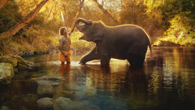 Người chăm voi - The Elephant Whisperers