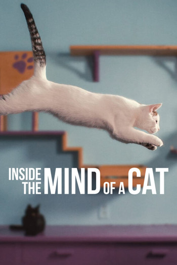 Những chú mèo nghĩ gì - Inside the Mind of a Cat (2022)