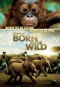Những Loài Vật Mồ Côi - Born to Be Wild (2011)