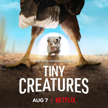 Những sinh vật tí hon - Tiny Creatures (2020)