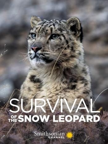 Survival Of The Snow Leopard - Survival Of The Snow Leopard