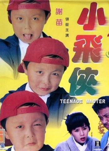 Thạc sĩ thiếu niên - Teenage Master (1995)