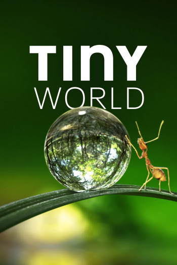Thế Giới Siêu Nhỏ (Phần 1) - Tiny World (Season 1) (2020)