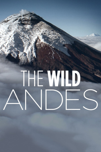 The Wild Andes - The Wild Andes
