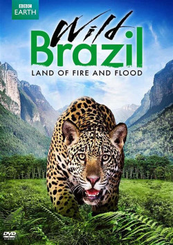 Thiên Nhiên Brazil Hoang Dã - Wild Brazil (2014)