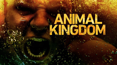 Vương quốc động vật (Phần 3) - Animal Kingdom (Season 3)
