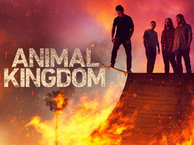Vương quốc động vật (Phần 6) - Animal Kingdom (Season 6)